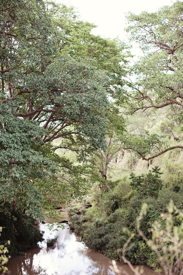 Emakoko Otel Nairobi Oda fotoğraf